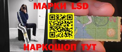 прущие грибы Обнинск