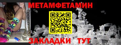 прущие грибы Обнинск