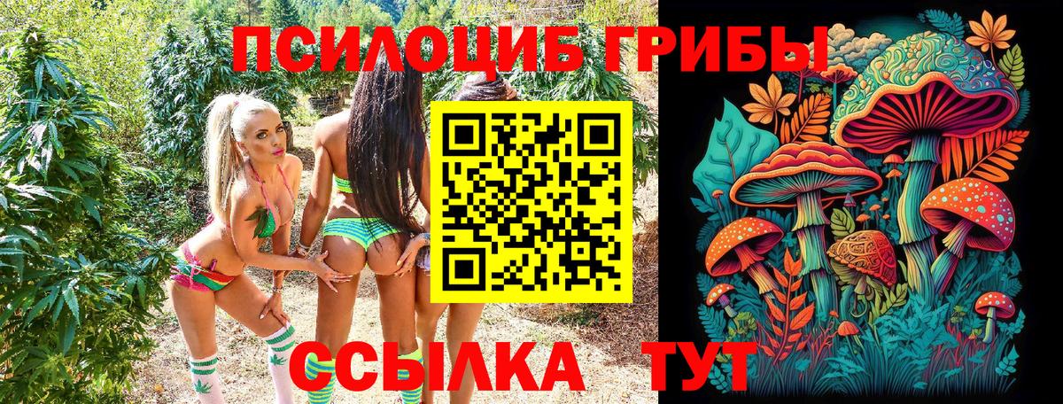 Галлюциногенные грибы прущие грибы  Вход с VPN  Галлюциногенные грибы Magic Shrooms  Салехард 