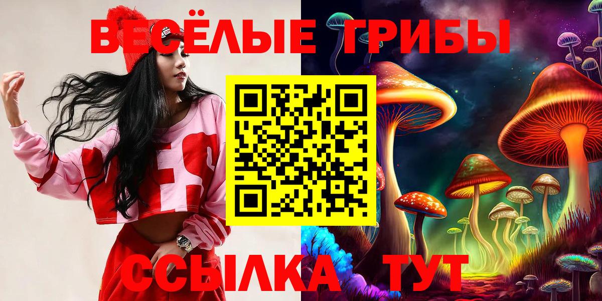 Галлюциногенные грибы Cubensis Салехард